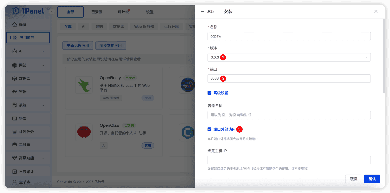 ▲图3 CoPaw安装配置页面.png